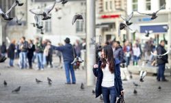 Amsterdam Piazza Dam shopping