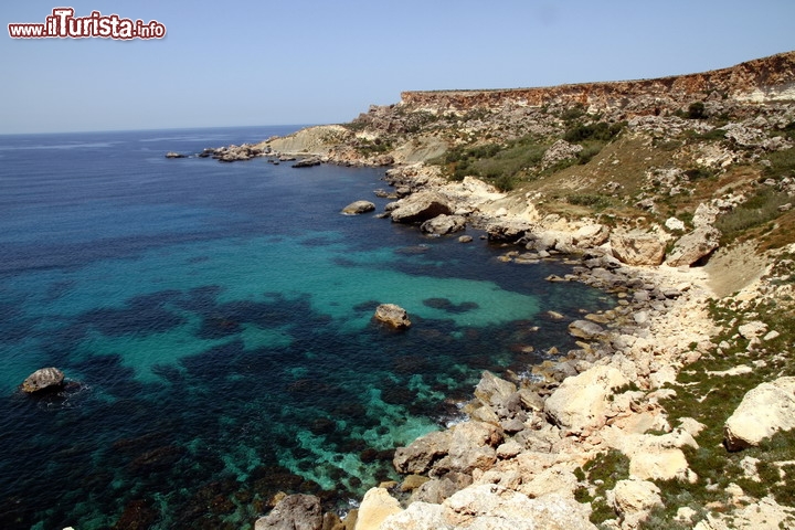 Costa selvaggia presso la spiaggia Gold, Malta - Le coste di Malta si prestano anche a lunghe passeggiate, con splendide vedute delle acque cristalline e con sempre il profumo della macchia mediterranea che vi accompagna con costanza durante le vostre escursioni. Qui ci troviamo non distante dalla spiaggia di Gold, presso laocalità di Ghajn Tuffieha.