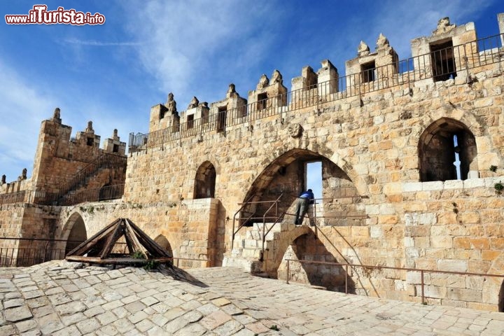Fortificazioni del centro storico di Gerusalemme
In questa foto vediamo la porta di Nablus di Gerusalemme, città santa di ineguagliabile fascino. La sua città vecchia, circondata da mura risalenti al '500, è oggi suddivisa in quattro quartieri: cristiano, musulmano, ebraico e armeno, a cui si accede da 9 porte. - © ChameleonsEye / Shutterstock.com