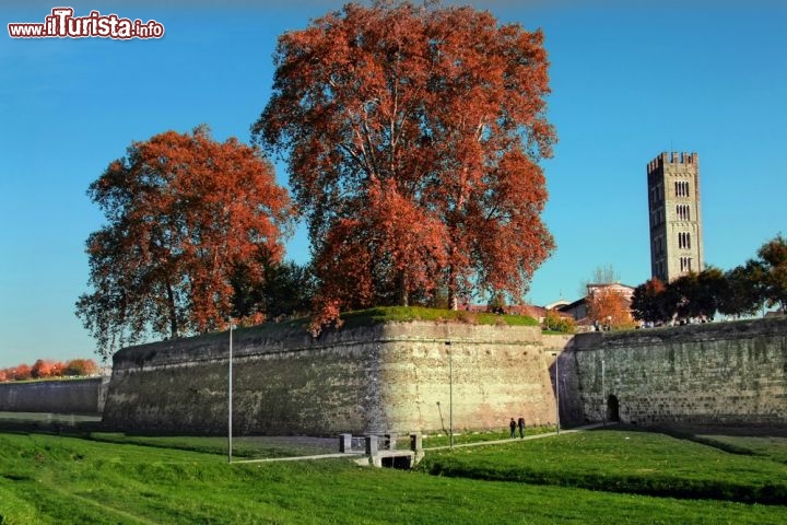 Le mura di Lucca in Toscana
Le mura di Lucca (Toscana)nacquero per ostacolare l’espansione del Granducato di Firenze, ma non dovettero mai fronteggiare un vero e proprio assedio, e oggi si sono trasformate in un ameno parco cittadino, sede di eventi e spettacoli. La cornice del capoluogo toscano è solida e rassicurante, ed è diventata una bella passeggiata pedonale circondata dai prati, lunga 4 km e 223 metri. La cortina muraria e gli 11 bastioni furono costruiti tra il 1504 e il 1645 su progetto di Alessandro Farnese delle Fiandre, e il momento più critico lo vissero all’inizio dell’Ottocento, quando ci fu una grande alluvione del Serchio: le porte furono sprangate e rinforzate con paglia e materassi, e la signora di Lucca, Elisa Bonaparte, dovette farsi issare con un bilanciere per entrare in città senza lasciarvi fluire le acque. - © trotalo / Shutterstock.com