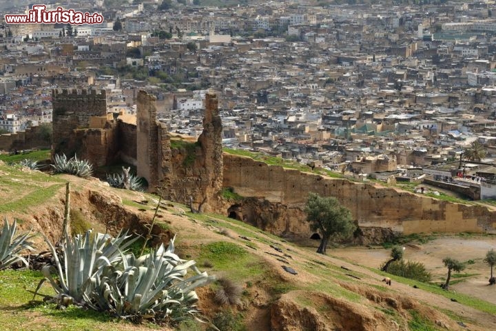 Mura della medina di Fez in Marocco
Un dedalo di strade che raccontano una storia millenaria e ricca di cultura: è così che si presenta la medina di Fez, la più antica città imperiale del Marocco, che ospita alcune delle moschee più belle e imponenti del Paese - © Philip Lange / Shutterstock.com