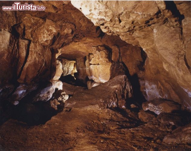 Immagine La Galleria finale della Grotta di Altamira