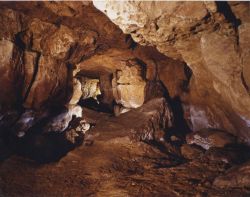 La Galleria finale della Grotta di Altamira