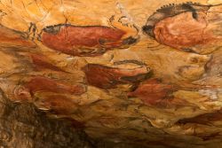 Sala de Policromos nella Cueva de Altamira