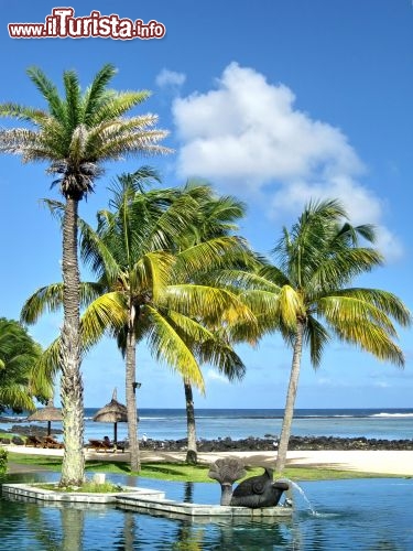 Piscina del Shanti Maurice - la vicinanza con l'oceano e la cornice di verdi palme rendono i bagni nella piscina particolarmente suggestivi.