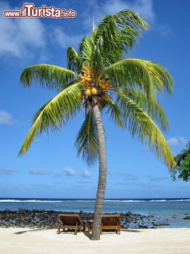 Relax a Mauritius sotto le palme - Il relax sotto le palme è garantito dalle sedie sdraio, e la postazione è a prova di cartolina... ma l'atmosfera la fanno il vento, il cinguettio degli uccelli, l'infrangersi delle onde sulla barriera corallina e il profumo della vegetazione