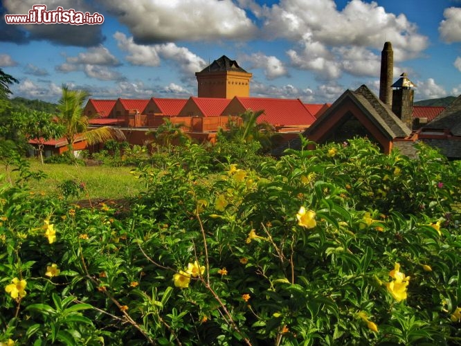 Rhumerie Chamarel Mauritius - Rhum e liquori per tutti i gusti alla Rhumerie de Chamarel. I liquori al cocco e al caffé sono dolci e freschi, ma la vera specialità è il rhum ricavato dalla canna da zucchero, e non dalla melassa come quelli artificiali. Alla distilleria si osservano i macchinari, si apprendono i processi ma soprattutto si degustano rhum chiari e scuri, più o meno invecchiati, dal forte profumo.