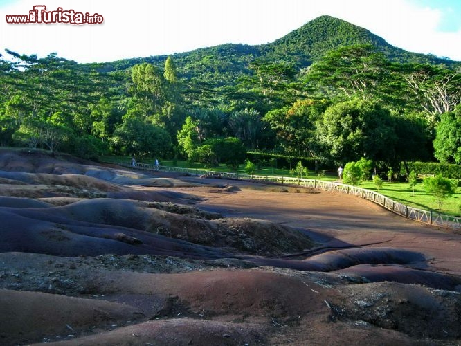 Terra dei sette colori isola Mauritius -  La terra dei sette colori è un fazzoletto di terra recintato nell'entroterra meridionale dell'isola, increspato in morbide dune, che secondo i locali presentano sette sfumature diverse. Le sfumature di verde tutt'intorno, però, sono molte di più.