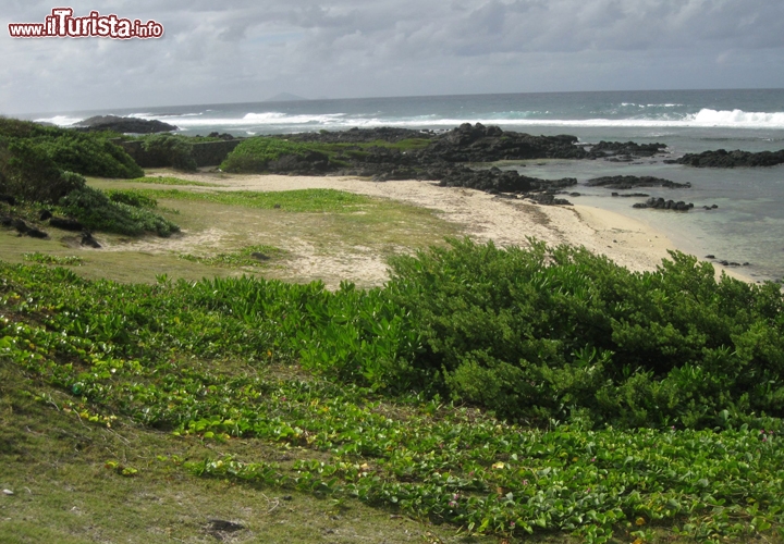 La costa settentrionale è la più selvaggia di Mauritius, con le sue scogliere schiaffeggiate dalle onde e dal vento. Non è il luogo ideale per un bagno, ma offre un panorama sublime.