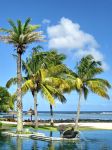 Piscina del Shanti Maurice - la vicinanza con ...