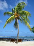 Relax a Mauritius sotto le palme - Il relax ...