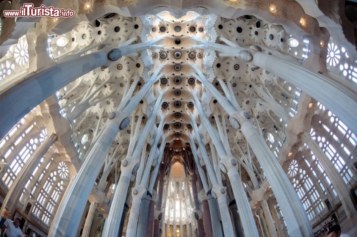 Immagine Interno Sagrada familia barcellona basilica