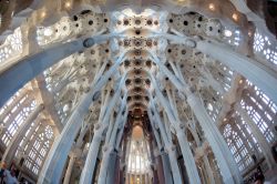 Interno Sagrada familia barcellona basilica