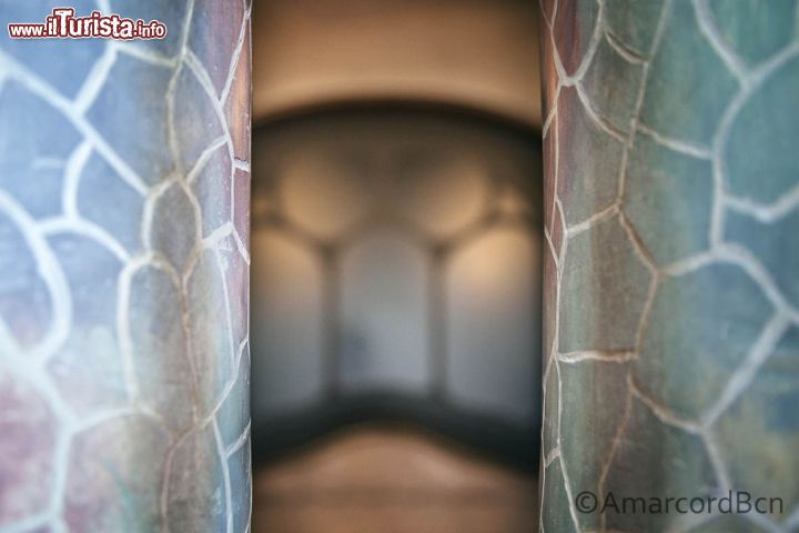 Immagine Colonne squamate casa Batllò - © Claudia Casadei / amarcordbarcellona.com