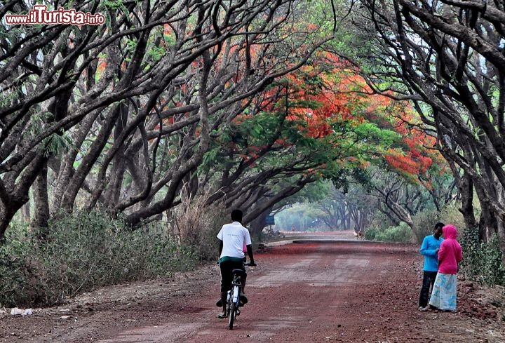 Bahir Dar, la strada per la villa dell'ex sovrano Selassie - In Etiopia con i Viaggi di Maurizio Levi