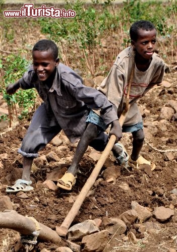 Bambini arano il difficile  terreno vicino a Gondar, in Etiopia - In Etiopia con i Viaggi di Maurizio Levi