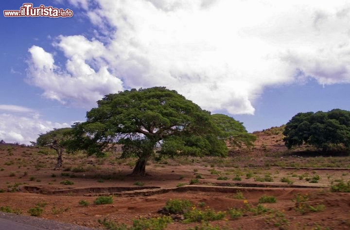 Paesaggio lungo la strada che da Gondar conduce a Lalibela in Etiopia - In Etiopia con i Viaggi di Maurizio Levi