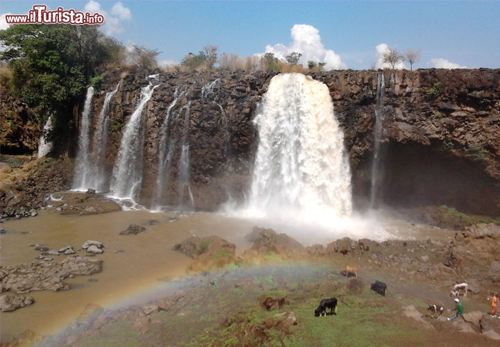 Le cascate del Nilo Azzurro, dette di Tissisat - In Etiopia con i Viaggi di Maurizio Levi