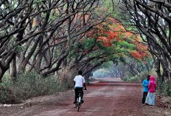 Bahir Dar, la strada per la villa dell'ex ...