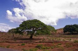 Paesaggio lungo la strada che da Gondar conduce ...