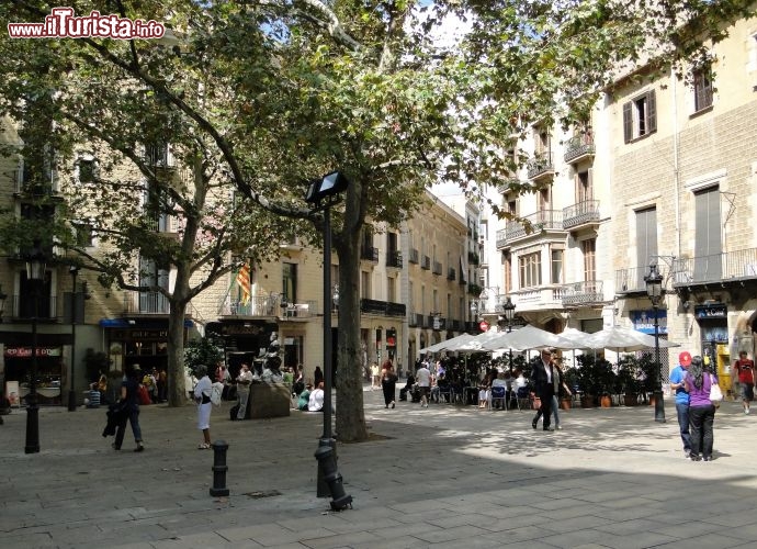 Immagine Piazza de Sant Josep Oriol barrio gotico barcellona