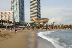 Peix d Or Frank O Gehry pesce d oro barceloneta barcellona