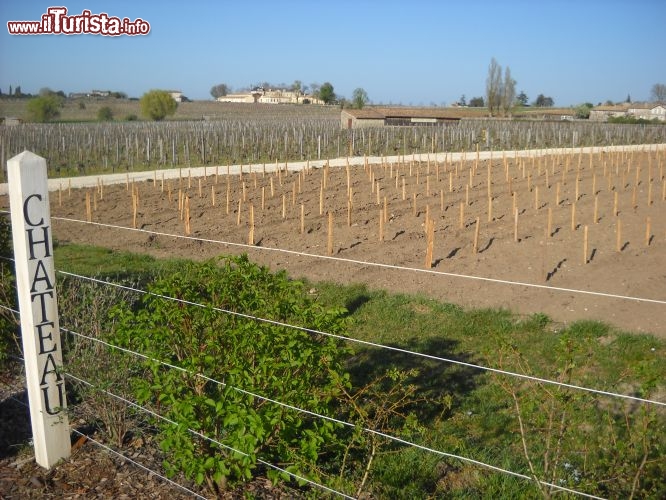 Immagine Nella campagna attorno a St.Emilion si susseguono gli storici chateaux dove si produce il famoso vino Bordeaux.