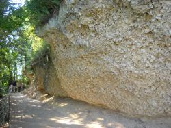 Sainte Croix du Mont è un comune del dipartimento della Gironda, famoso per la produzione del vino ma anche per queste pareti di ostriche fossilizzate.