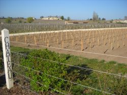 Nella campagna attorno a St.Emilion si susseguono gli storici chateaux dove si produce il famoso vino Bordeaux.