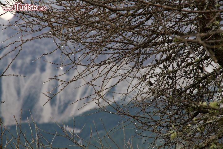 Messner Mountain Museum panorama dal Monte Rite