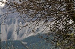Messner Mountain Museum panorama dal Monte Rite ...