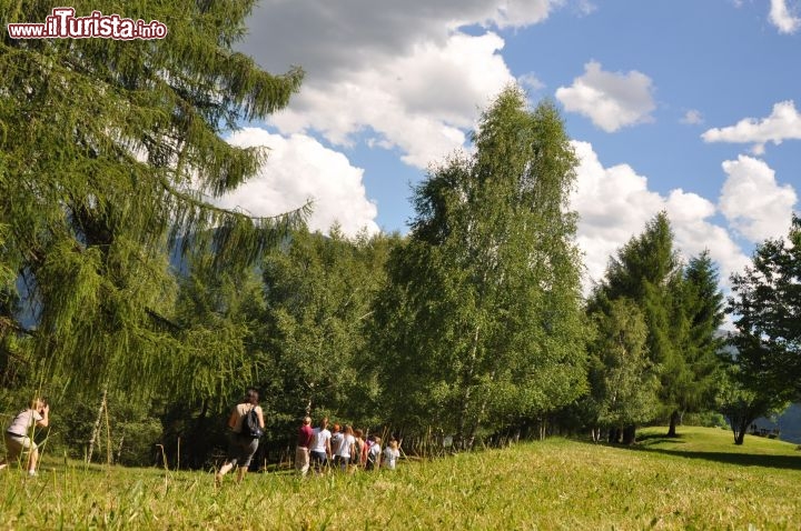 Lungo il sentiero del trekking benessere Hotel Veronza