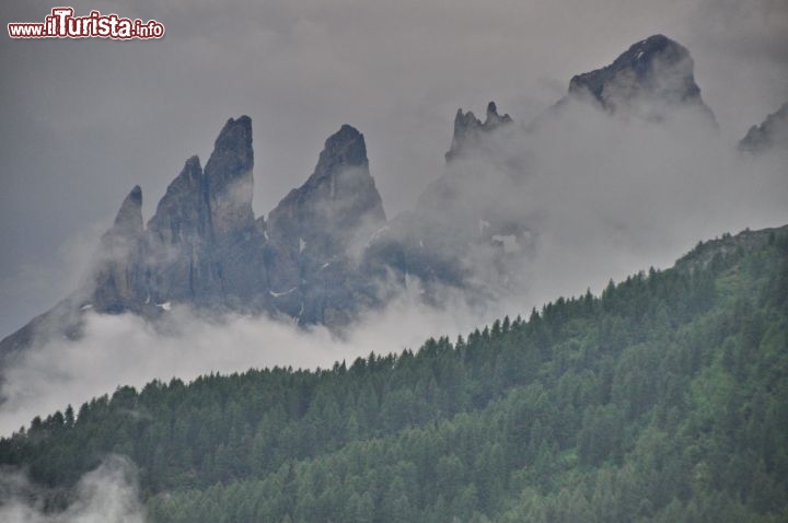 Pale di San Martino viste dal San Pellegrino