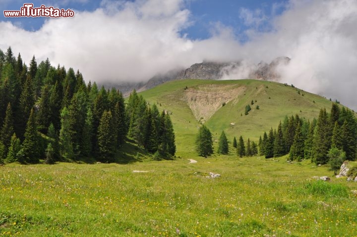 Pascoli del Fuciade Trentino