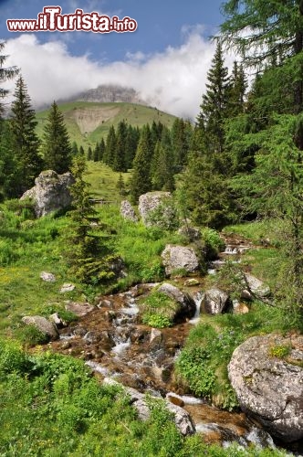 Torrente al Fuciade in trentino