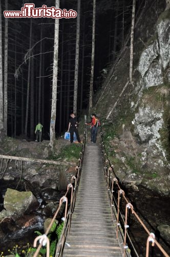 Un ponte nel trekking notturno alla cascatella di Predazzo