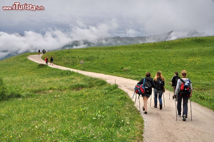 Verso la baita del Fuciade con il Nordic Walking