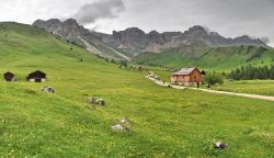 Arrivo alle baite del fuciade Passo San Pellegrino ...