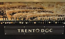 Collezione di bottiglie Trento Doc