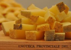 Degustazione formaggio trentino