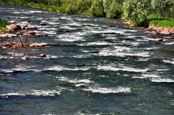 Le rapide del fiume Avisio aspettano i turisti ...