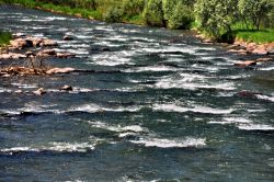 Le rapide del fiume Avisio aspettano i turisti ...