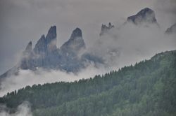 Pale di San Martino viste dal San Pellegrino