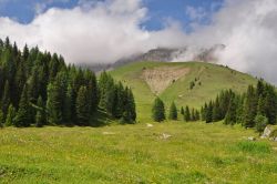 Pascoli del Fuciade Trentino