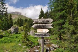 Sentieri Trentino intorno al Passo di San Pellegrino ...