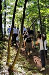 Trekking benessere tra i larici dell Hotel Veronza ...