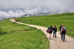 Verso la baita del Fuciade con il Nordic Walking ...