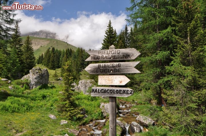 Sentieri Trentino intorno al Passo di San Pellegrino