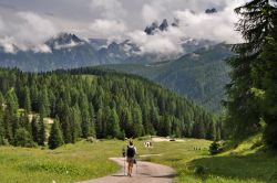 Discesa da Fuciade verso il Passo San Pellegrino ...