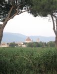 Vista della Torre, del Duomo e del Battistero dalla campagna circostante a Pisa